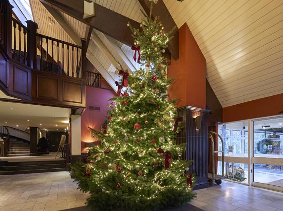 Three Night Festive Break